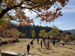 -塔川景区