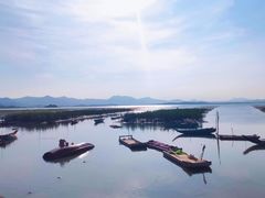 -大亚湾红树林城市湿地公园