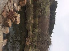 iphone_upload_pic-香雪海