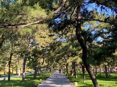 -承德避暑山庄景区