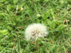 -玉渡山风景区-售票处