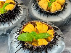 -连鹭海鲜·海肠捞饭·海胆饭(星海店)
