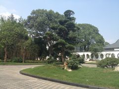 IMG_1611-苏州金鸡湖中茵皇冠假日酒店