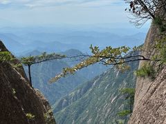 -黄山风景区