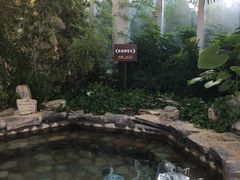 -中家鑫园温泉酒店鑫悦汤泉