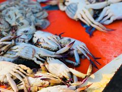 -尼甘布海鲜市场