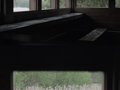 -华侨城湿地公园