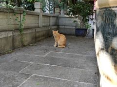 -兴教寺