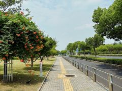 -新白鹿餐厅(松江开元地中海店)