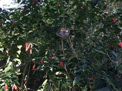 -福建鲤鱼洲酒店