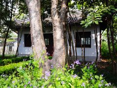 -上海佘山国家森林公园天马山园