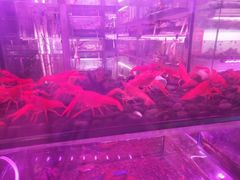 -大自然花鸟鱼虫市场
