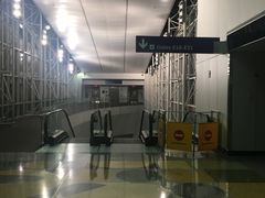 -达拉斯 沃斯堡国际机场