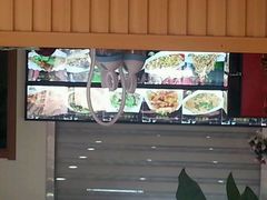 -锋味海鲜菜馆