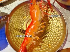 -琥珀川糟粕醋·香草鸭·鸡煲(慈云寺店)