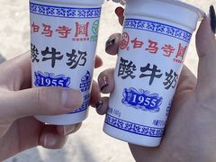 -洛阳白马寺