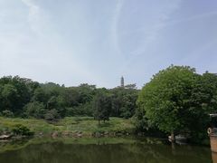 -巢湖姥山岛