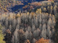 -玉渡山自然风景区