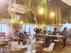 大堂-Husky Go! 哈士奇体验馆·宠物咖啡厅狗咖