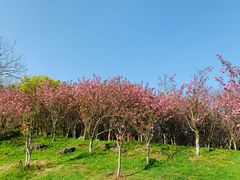 -南京市江宁方山
