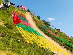 -御道口草原森林风景区