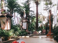 -悦隆庄温泉度假酒店