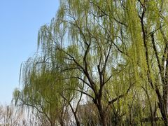-回龙观体育文化公园