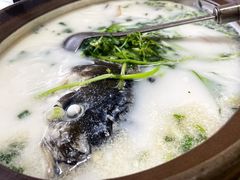 -天乐农家鱼头王(天目湖店)
