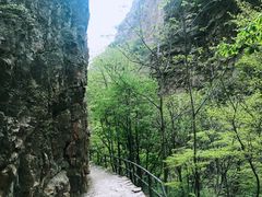 -九龙潭景区