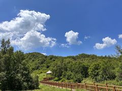 -白草畔自然风景区