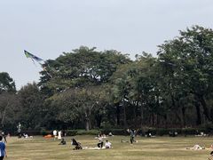 -荔香公园