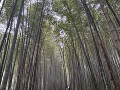 -南山风景名胜区