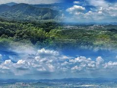 -黄埔油麻山森林公园