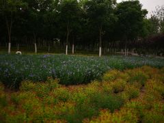 -永定河休闲森林公园