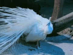 -苏州海洋馆