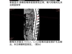 -爱侣宠医·鹦鹉专科·小型哺乳类·异宠专科(灵石路店)