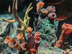 -沈阳海洋探索中心