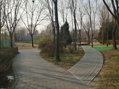 -北极寺公园