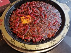 -一斗火锅·招财羊毛肚(北温泉九号店)
