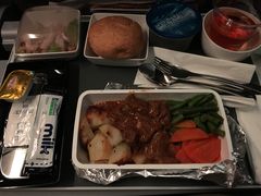 -新加坡航空公司(ION)