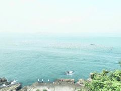 -东极岛景区