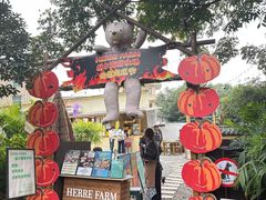 -HERRE·FARM 赫尔露营农场·团建聚会包场