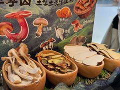 -季季山•云南野生菌火锅(上海首店)