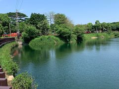 -王借岗森林公园