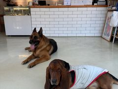 -小意思咖啡店(草桥店)