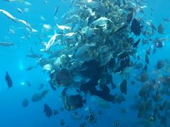 -瑞德姆美人鱼海底演艺主题餐厅(亚龙湾店)