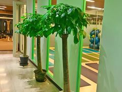 -Isofit 普拉提·婵柔工作室