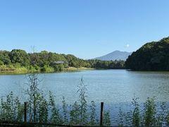 -福建鲤鱼洲酒店