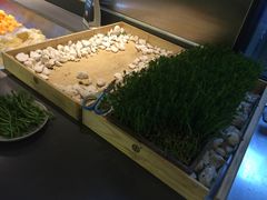 -夫妻肺片·中华老字号·正宗川菜(春熙路店)