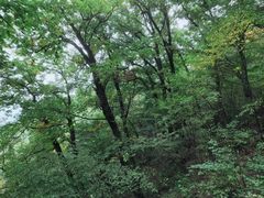 -终南山南五台景区